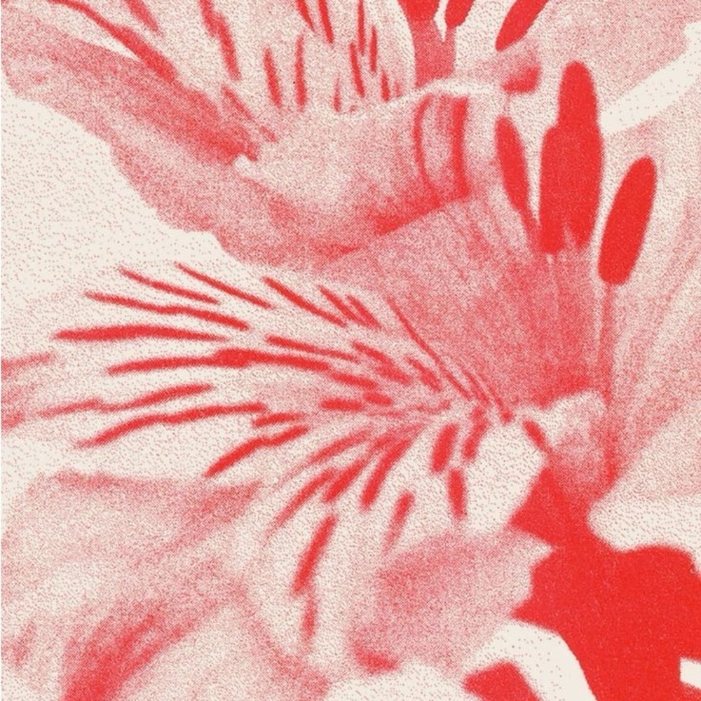 COPY - Live Show Listing